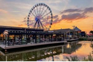 a ferris wheel next to a building and a river at Logement des jours heureux in Mundolsheim