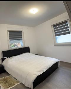 a bedroom with a large bed with two windows at Logement des jours heureux in Mundolsheim