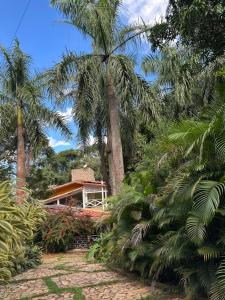 a house with palm trees in front of it at Flor da Serra in Brumadinho