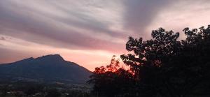 a silhouette of a mountain at sunset with a tree at Confortable cabaña campestre in Ibarra