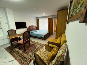 a living room with a couch and a table at Studio 1 room 25 sqf in Oltingue