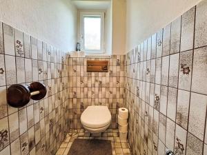 a bathroom with a toilet and a window at Holiday Home Haus Sophie by Interhome in Schladming