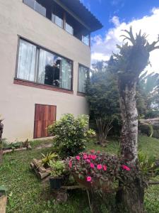 ラブラス・ノーヴァスにあるChalé da Mata Lavras Novasの庭のヤシの木のある家