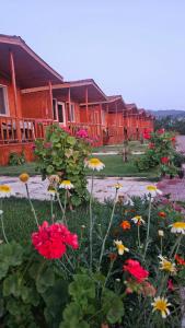a row of houses with flowers in front of them at Venüs Gold Bungalov Adrasan in Kumluca