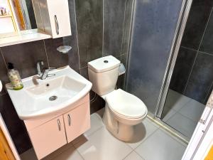 a bathroom with a toilet and a sink and a shower at Venüs Gold Bungalov Adrasan in Kumluca