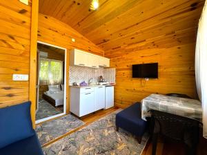 a kitchen and living room of a log cabin at Venüs Gold Bungalov Adrasan in Kumluca