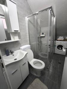 a bathroom with a shower and a toilet and a sink at Stan na dan - apartman Lara in Pale +17 photos