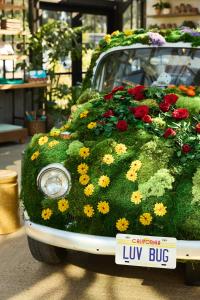 Vườn quanh Treehouse Hotel Silicon Valley