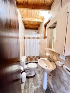 a bathroom with a white toilet and a sink at Hostel Andino in Villa Pehuenia +122 photos