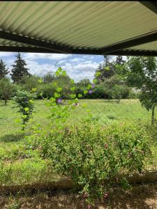 un giardino con recinto e cespuglio fiorito di Paz en las sierras a José de la Quintana