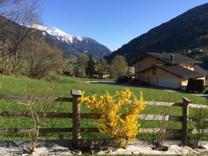 Fotografia z galérie ubytovania Haus Fankhauser v destinácii Dorfgastein