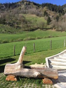 Fotografia z galérie ubytovania Haus Fankhauser v destinácii Dorfgastein