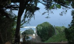 vista su una strada alberata e su una recinzione di Del Pangal Canto- Acceso directo a la Playa y Cabalgatas a Cáhuil Altre 2 foto