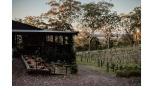 Sunset Vine at Wonganella Estate 1 by Tiny Away外面的花园