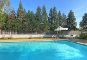 a swimming pool with a white umbrella and a swimming pool at Hotel La Chaumiere in Dole