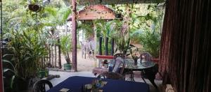 Zahrada ubytování Beni Beach Resort Batticaloa, Sri Lanka