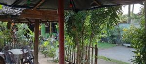 Zahrada ubytování Beni Beach Resort Batticaloa, Sri Lanka