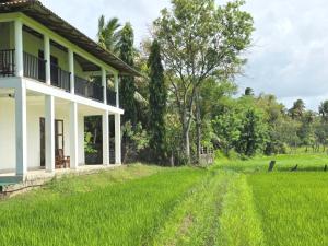 Zahrada ubytování Sigiriya Paradise Inn
