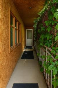 Fotografie z fotogalerie ubytování Helena guest house v destinaci Cholpon-Ata + 28 fotografií