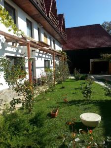 Ảnh trong thư viện ảnh của Casa Gross ở Cristian