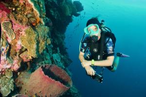 a woman in a diving suit and a camera in the water at Lavana Dive & Nature Resort in Unauna