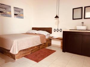 a bedroom with a bed and a sink at Eco-Hotel Black Tree in Mazatlán