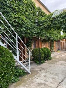 Zahrada ubytování Helena guest house