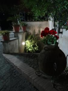 Fotografie z fotogalerie ubytování Bed & Breakfast Fuocomuorto v destinaci Ercolano + 55 fotografií