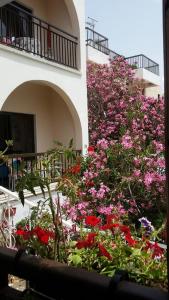 a bunch of flowers in front of a building at Myriama Apartments in Ayia Napa