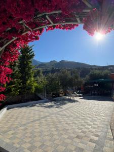 山景或在酒店看到的山景
