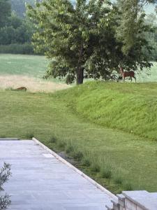 Zahrada ubytování Bastide La Guilhabertie
