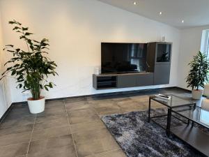 a living room with a flat screen tv and plants at Modern wohnen & entspannen - Wohnung mit Balkon - 2 in Reichenbach-Steegen