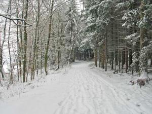 B&B Hersberg en invierno