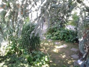 Jardín al aire libre en B&B Hersberg