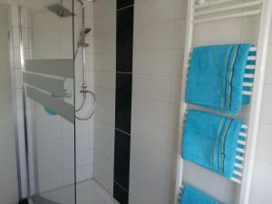 a shower with blue towels in a bathroom at Ferien in Goslar, Freiers Ferienwohnungen in Goslar +22 photos