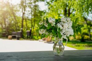 Zahrada ubytování Rikap Coliving Spaces