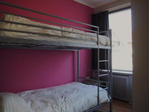 a bedroom with a bunk bed and a purple wall at Ruim appartement met dakterras in Hulst