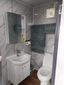 a bathroom with a sink and a toilet and a mirror at Róisín's Country cabin in Milltown Malbay
