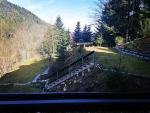 ホルンベルクにあるPension Schwarzwaldblickのギャラリーの写真