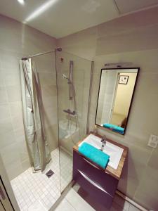 a bathroom with a shower and a sink and a mirror at Lyon Standing Historic City Apartment in Lyon
