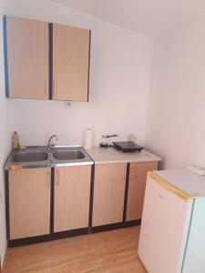Dapur atau dapur kecil di EKI Smeštaj