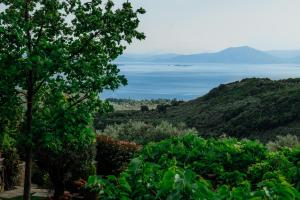 Loodusmaastik villa lähedal