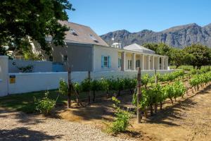 a row of plants in front of a house at Auberge Clermont in Franschhoek