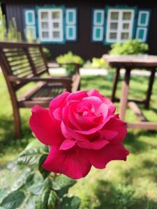 奈达吉丽塔维拉旅馆的相册照片