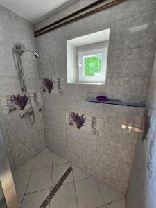 Un baño con ducha y ventana. en Pri tetki, en Kranj