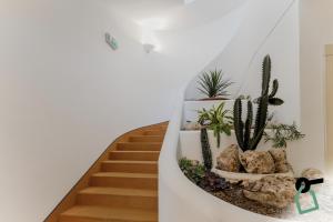a staircase with cactus and rocks in a house at HOTIDAY Room Collection - Mattinata Faraglioni in Mattinata