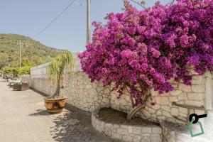 a bunch of purple flowers on a stone wall at HOTIDAY Room Collection - Mattinata Faraglioni in Mattinata