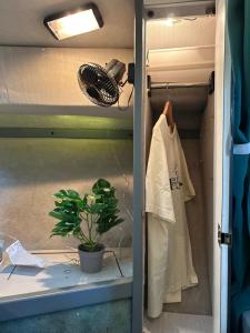 蓬塔翁布里亚barco marismas del sur的一间有门的房间,里面放着植物
