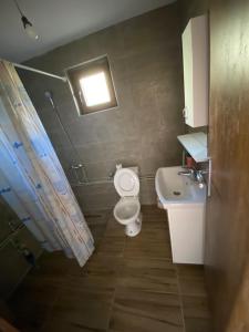 a bathroom with a toilet and a sink and a window at Chalet Jelovica in Berane