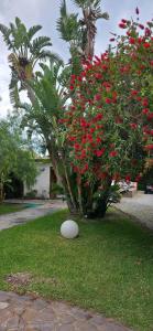 Φωτογραφία από το άλμπουμ του Ipsy by Penta Dream House σε Campofelice di Roccella +27 φωτογραφίες